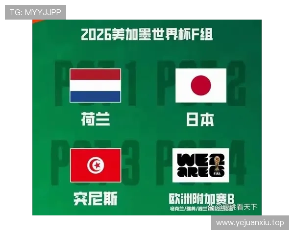世界杯F组进球统计:四队小组赛共打入25球 世界杯F组进球统计:四队小组赛共打入25球